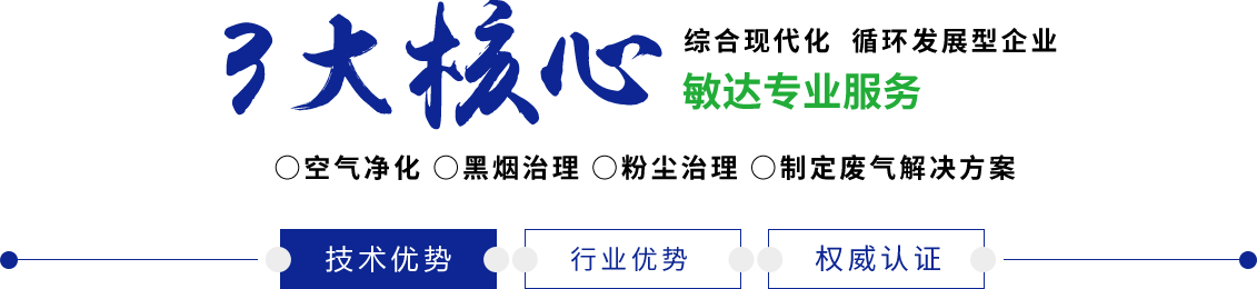 女生免费国产白虎视频敏达环保科技（嘉兴）有限公司